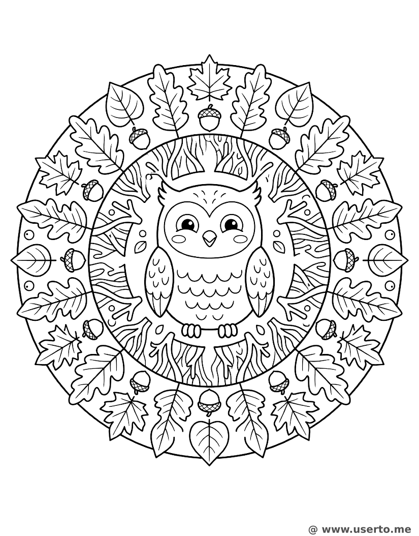 Mandala da Floresta da Coruja Mística
