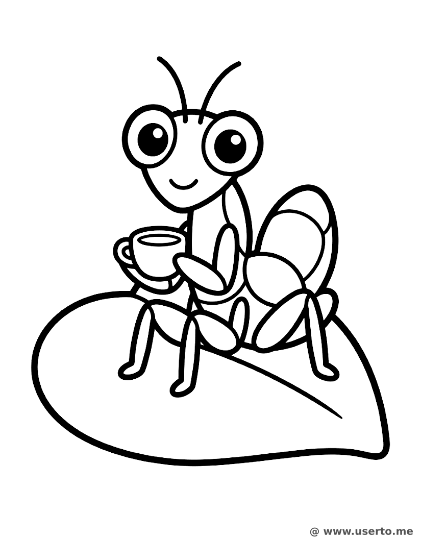 La fiesta del té de la mantis orquídea