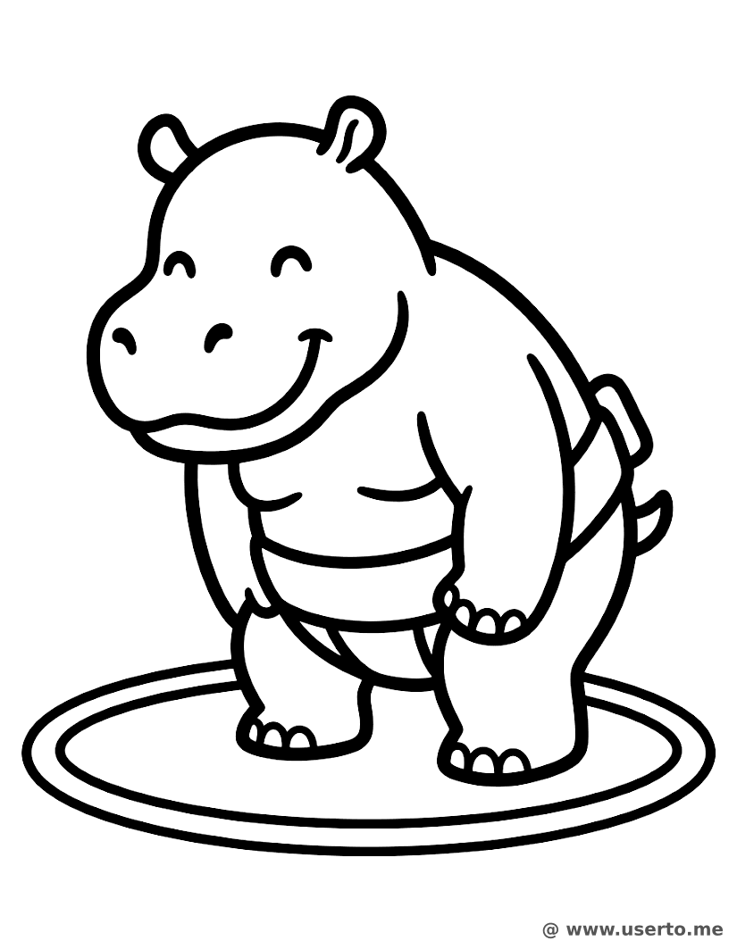 The Happy Hippo's Sumo Bow