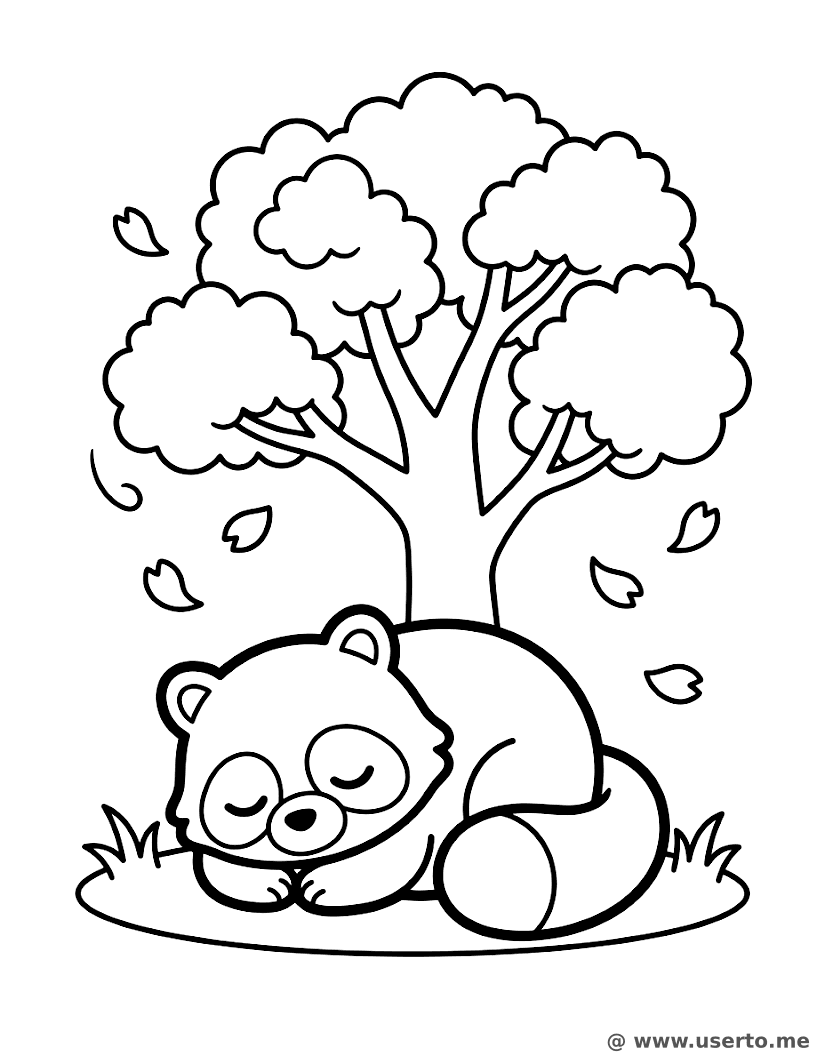 Tanuki's Cherry Blossom Nap