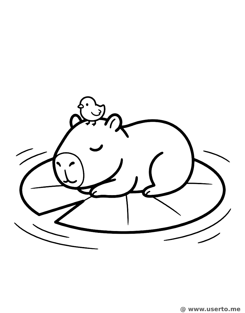 Soneca da Capivara e do Pintinho