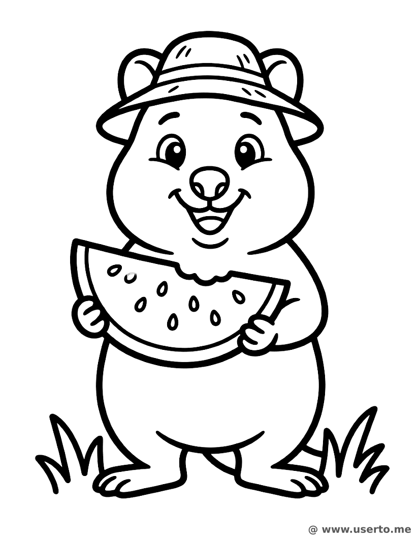Quokka's Sunny Picnic