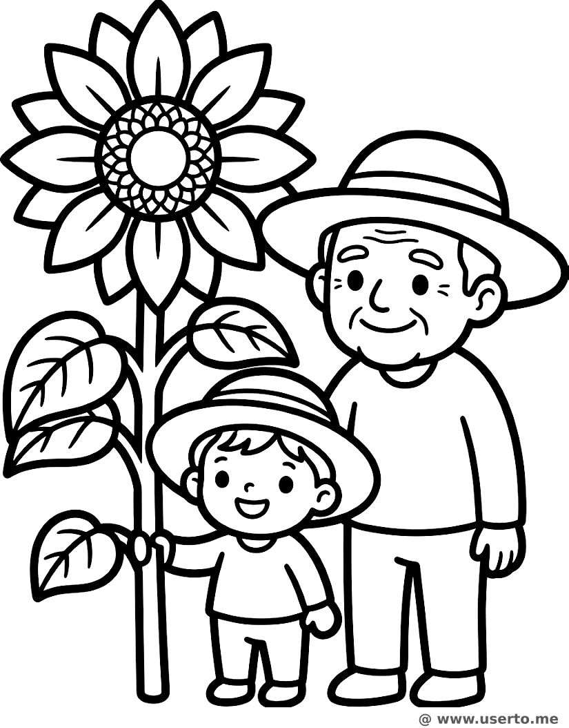 Giant Sunflower Harvest