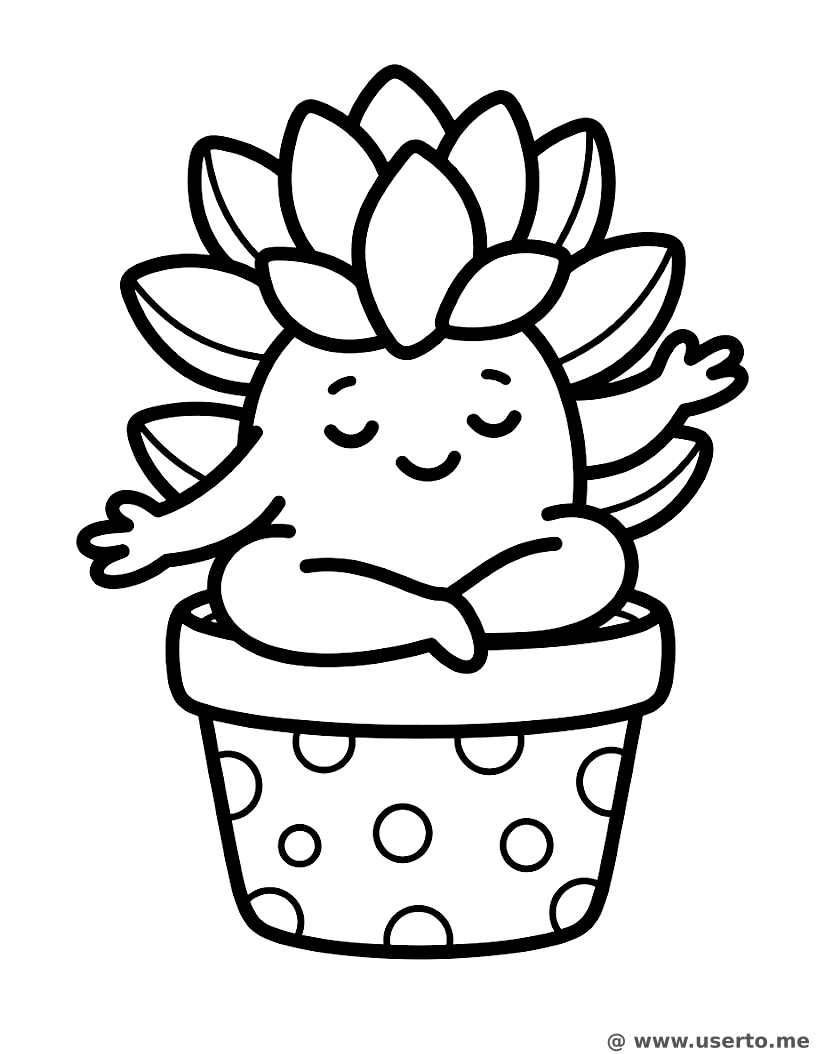 Peaceful Yoga Succulent