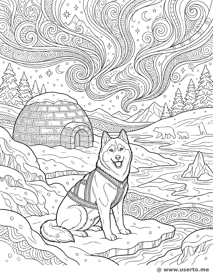 Husky Observando a Aurora Boreal