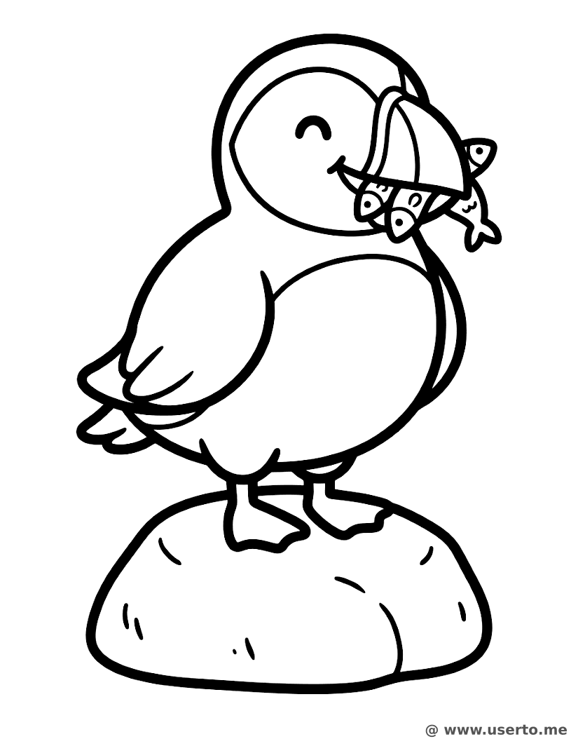Puffin's Fishy Snack Time