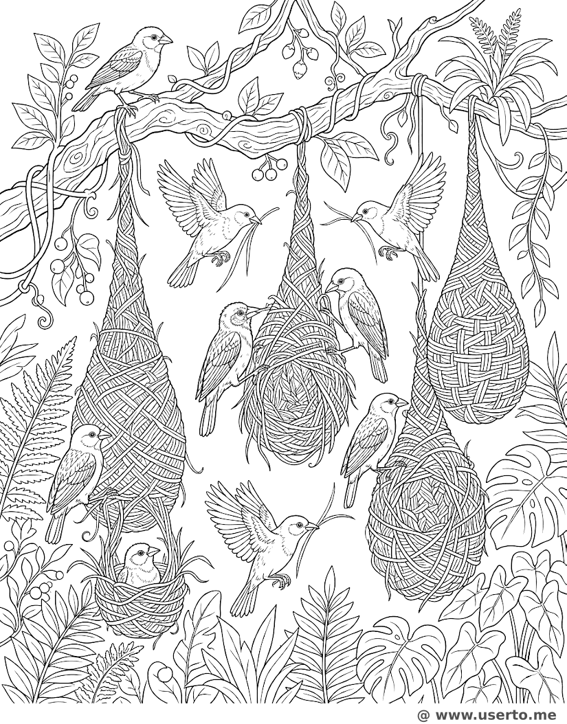 Weaver Birds' Hanging Tree House