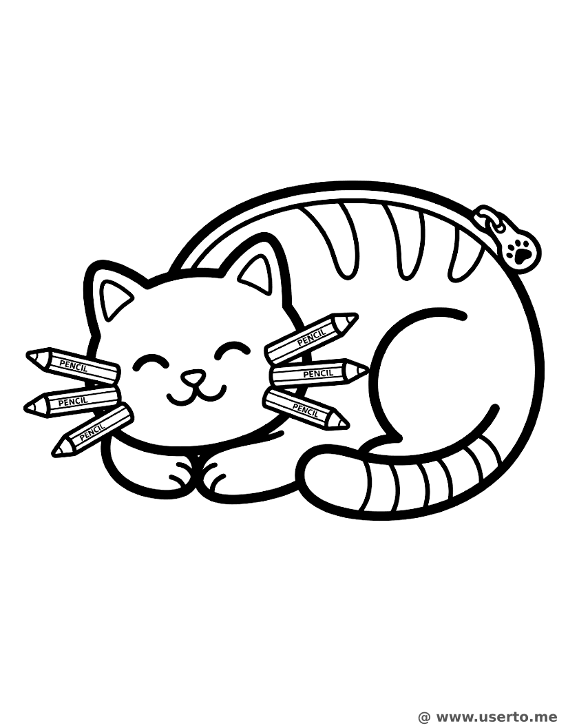 고양이 필통의 낮잠 시간