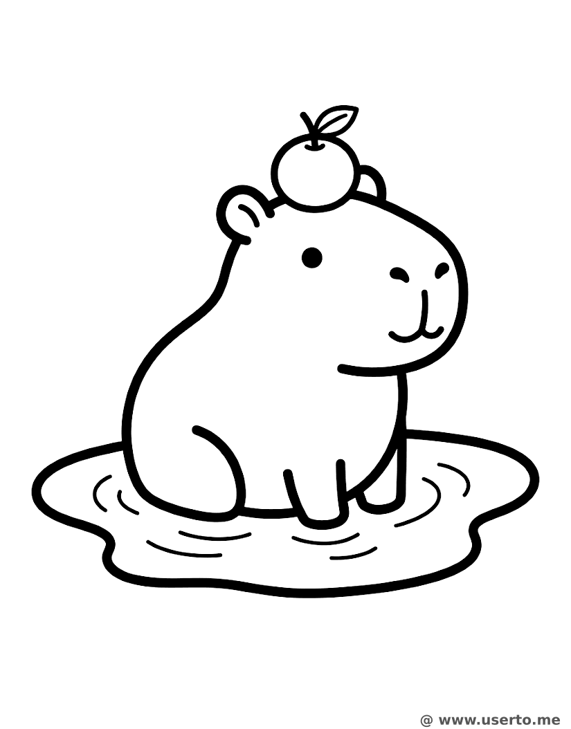 카피바라 온천