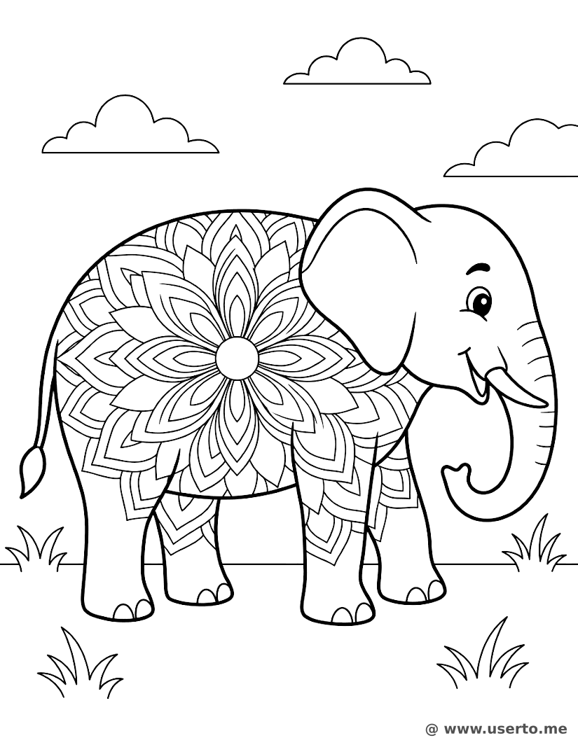 Manta do Elefante Real