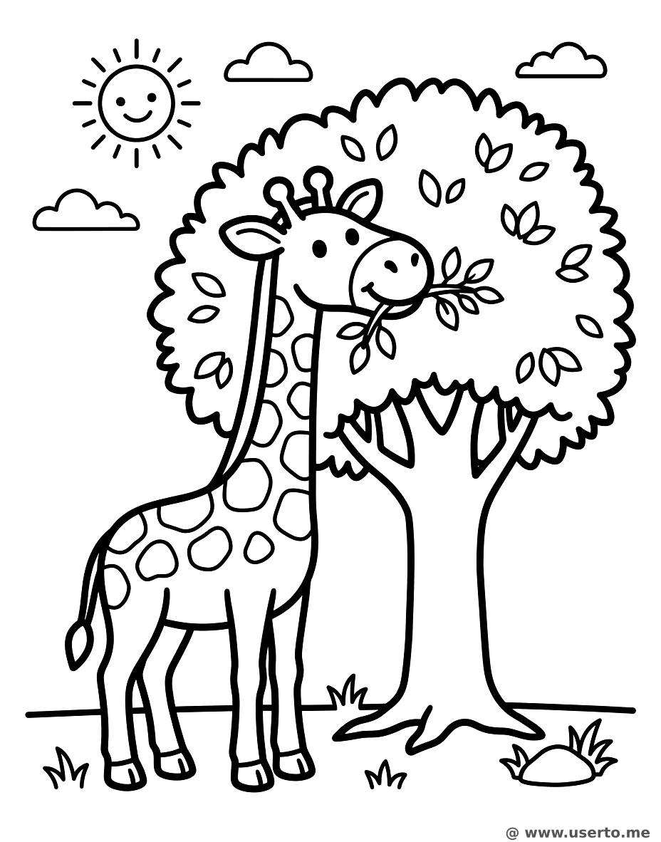 Giraffe Eating Tall Tree Leaves