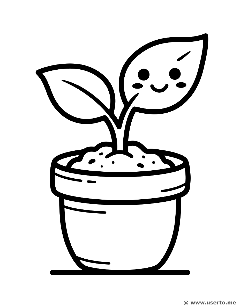 Baby Sprout in a Pot