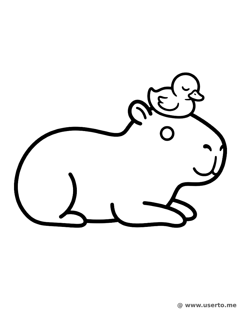A Soneca da Capivara e do Patinho