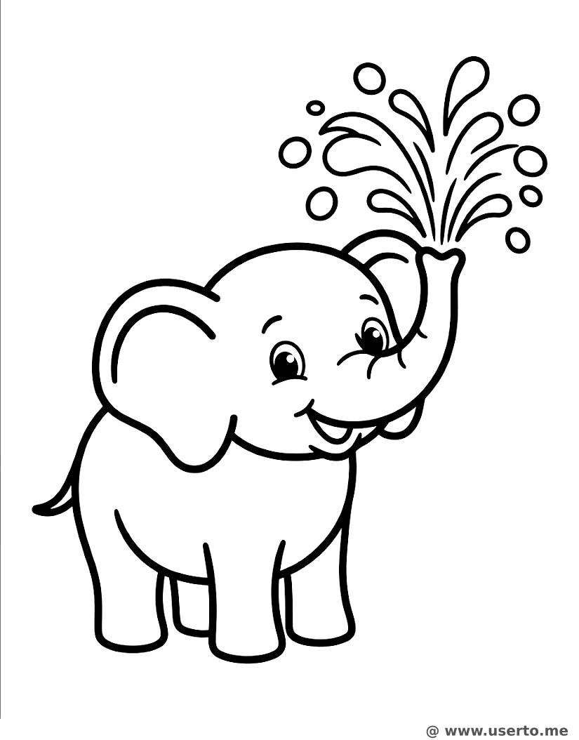 Elephant's Holi Splash