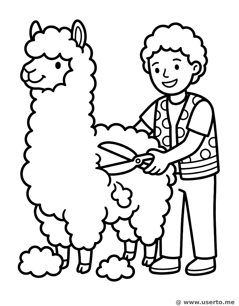 El Feliz Esquilador de Alpacas