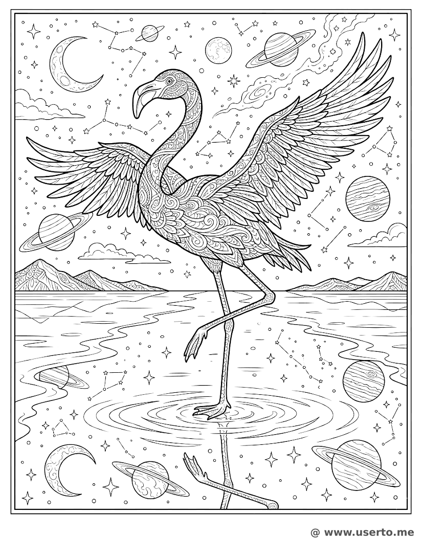 Starry Salt Flat Dance