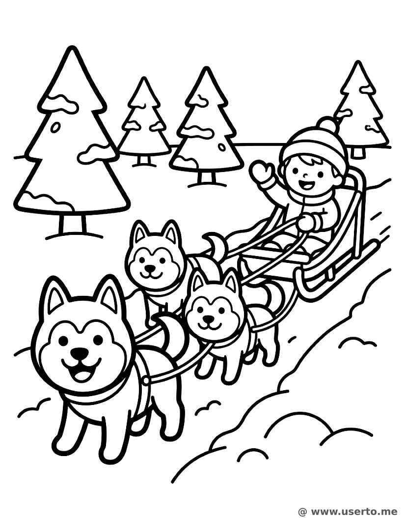 Aventura en Trineo de Huskies Risueños