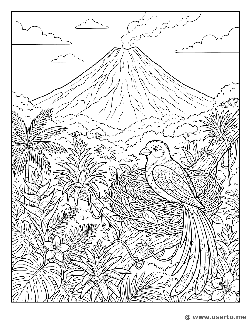 Ciclo de vida en la isla volcánica