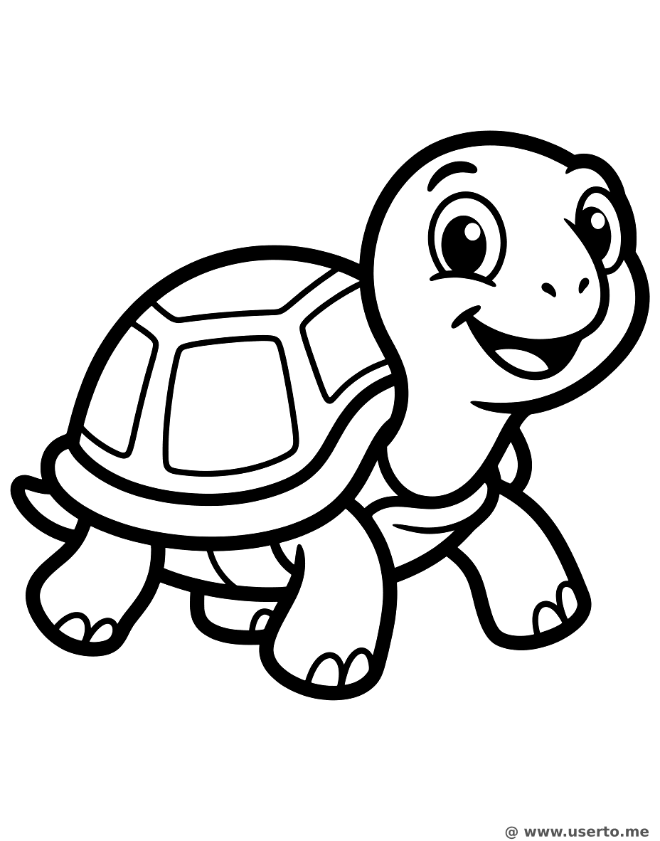 Friendly Little Turtle