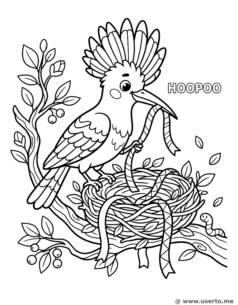 Hoopoe Bird Ribbon Nest