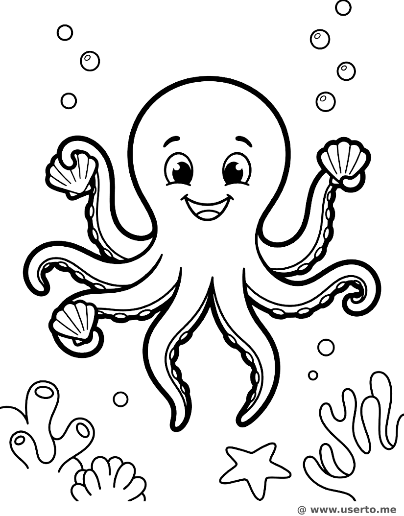 Octopus Shell Dance