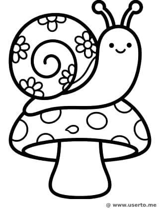 A aventura do caracol de concha floral