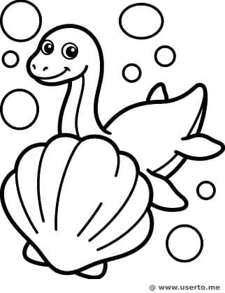 Underwater Peek-a-Boo