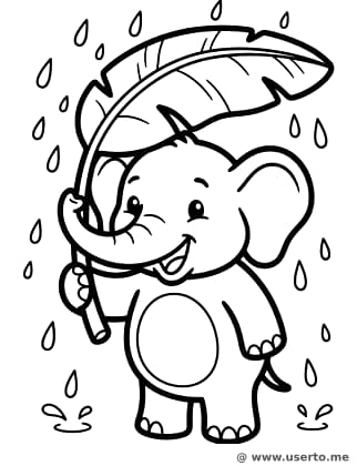 Elephant's Leafy Umbrella