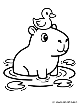O dia de spa da capivara sonolenta