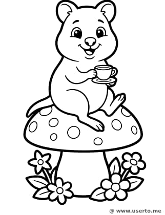 Quokkas Wald-Teezeit