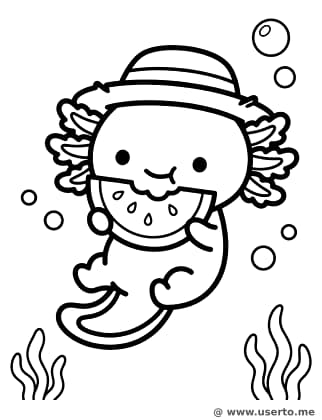 Axolotl's Sunny Snack