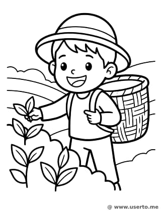 La Pequeña Recolectora de Té