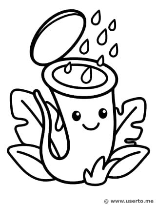 A Planta-jarro Apanhadora de Chuva