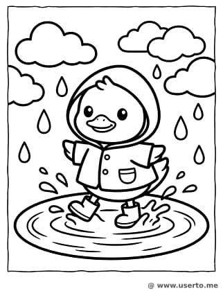Little Duckling's Puddle Jump