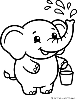 Splash do Elefante Holi