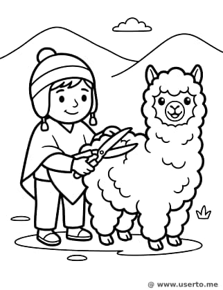 행복한 알파카 미용사