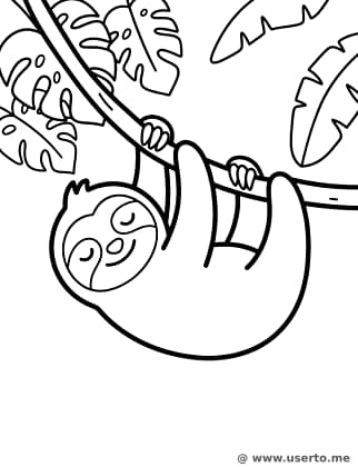 Sleepy Sloth Hugging a Rainforest Branch