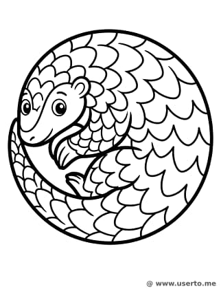 El Pangolín Saltarín Juguetón