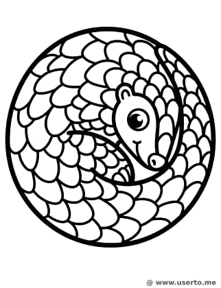El escondite del pangolín tímido