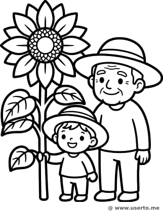 Riesige Sonnenblumenernte