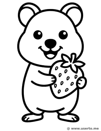 O lanchinho de morango do quokka feliz
