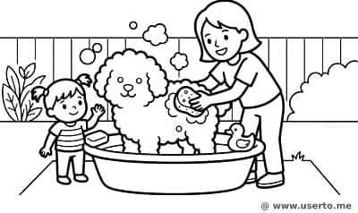 Espuma y Patitas