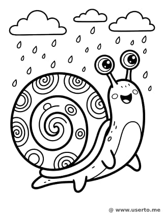 O Caracol Dançarino da Chuva