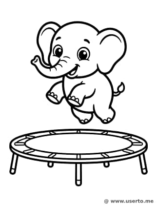 Baby-Elefant beim Trampolin-Hüpfen