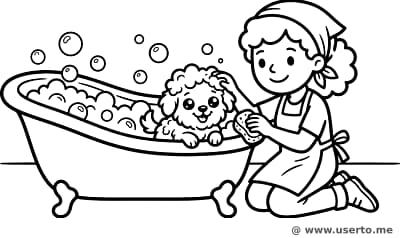 Bolhas no Spa dos Pets