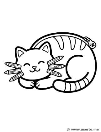 고양이 필통의 낮잠 시간