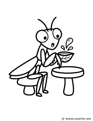 Surprised Orchid Mantis Tea Party
