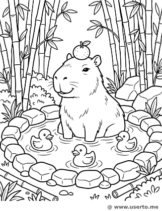 Dia de Spa do Capivara com Patinhos de Borracha