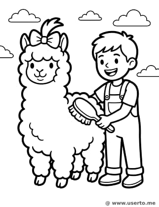 Cabeleireiro de Alpacas Fofinhas
