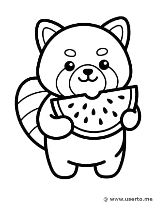 Wassermelonen-Picknick des Roten Pandas